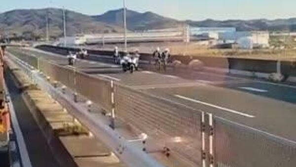 【愛知でブタさん逃走 国道通行止め】 - Sputnik 日本