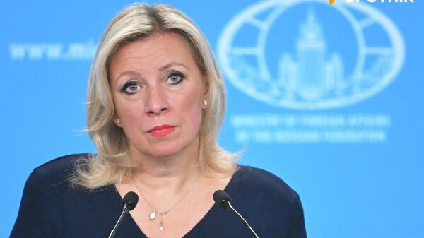 【露ジャーナリストのロシアの対中央アジア外交政策に関する発言は、同氏の個人的な意見＝露外務省報道官】 - Sputnik 日本