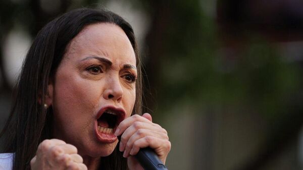 【ベネズエラの野党政治家、米大統領にノーベル平和賞を贈呈】 - Sputnik 日本