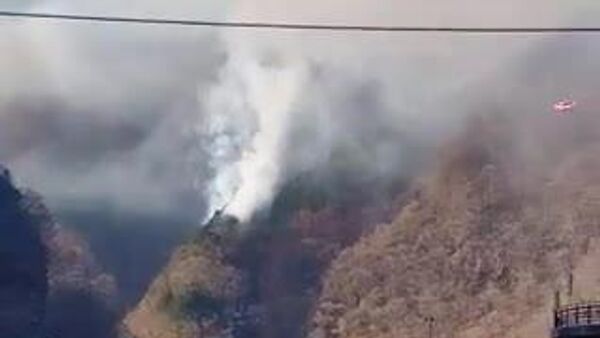 【埼玉・秩父で山林火災】 - Sputnik 日本