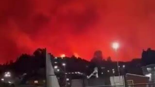 【チリで森林火災 約2万人が避難】 - Sputnik 日本