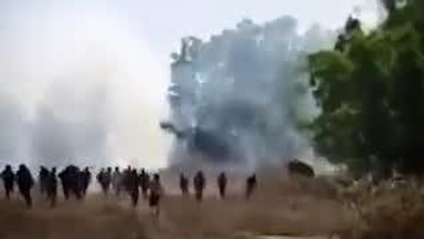 【殺人ゾウがインドで暴動 10日間で22人を殺害】 - Sputnik 日本