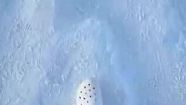 【記録的大雪に見舞われたカムチャッカの日常】 - Sputnik 日本