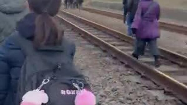 【JR埼京線、ハサミ持って暴れた17歳逮捕】 - Sputnik 日本