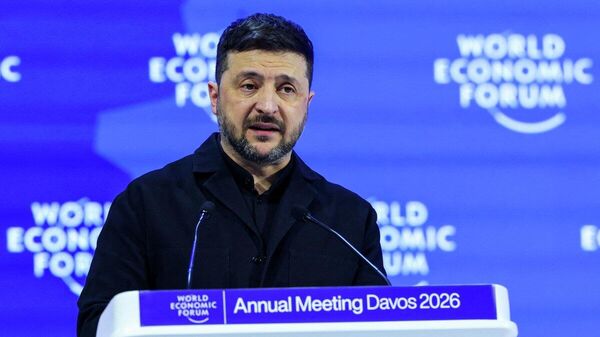 【なぜゼレンスキー氏はダボスで欧州を批判したのか？ 専門家が解説】 - Sputnik 日本