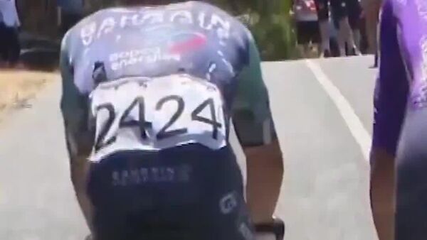 【勝利を阻止したいと思うのは、カンガルーも同じ？】 - Sputnik 日本