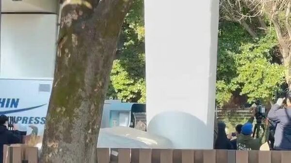 【国内最後のパンダ2頭 上野動物園を発つ】 - Sputnik 日本