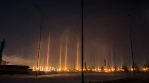 【ロシアの夜空に「光の森」】 - Sputnik 日本