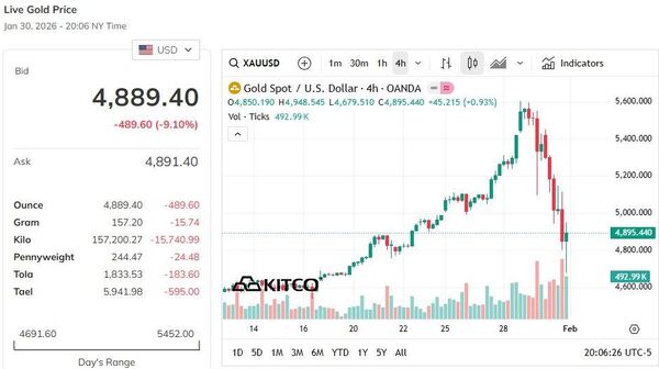 【金の価格も下落、一時は13％の下げ幅】 - Sputnik 日本