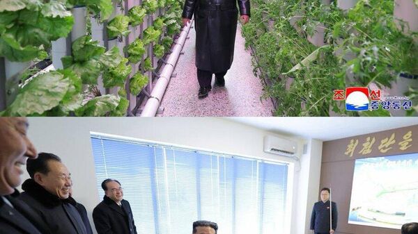 【北朝鮮がラム酒の製造を開始】 - Sputnik 日本