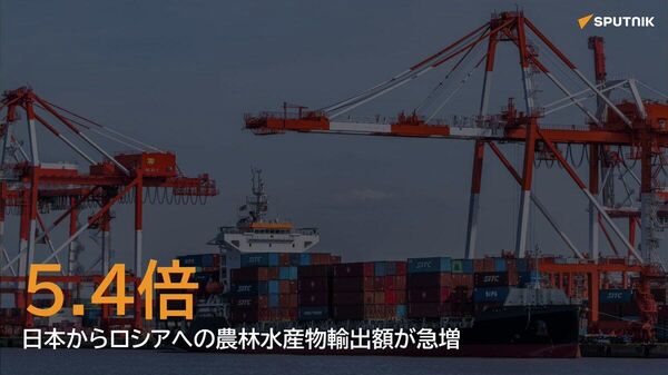 【農林水産物の対露輸出が急増】 - Sputnik 日本