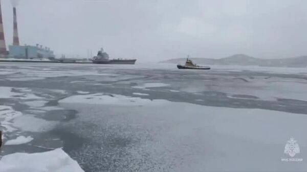【ロシア非常事態省、流氷で漂流していた2頭の犬を救助】 - Sputnik 日本