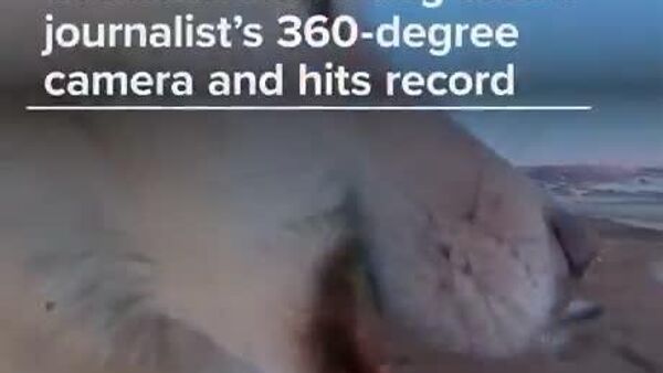 【今や犬もブロガーになる時代？】 - Sputnik 日本