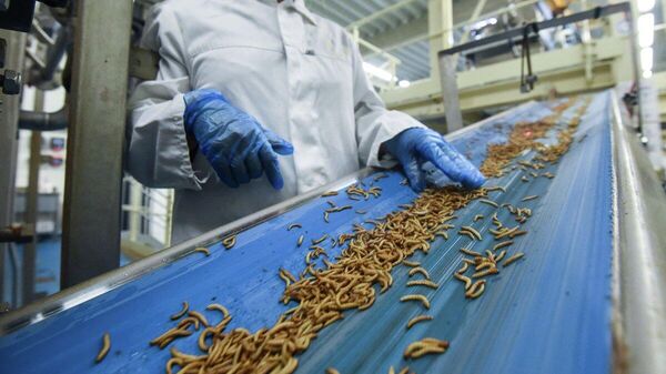 【未来食が現実に直面】 - Sputnik 日本