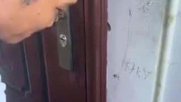 【鍵を忘れた？それなら猫に「ドアを開けて」とお願いしよう】 - Sputnik 日本