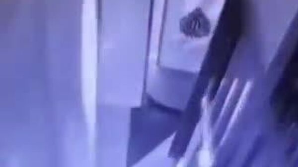 【フォークリフトで侵入 金奪ってロバで逃走】 - Sputnik 日本