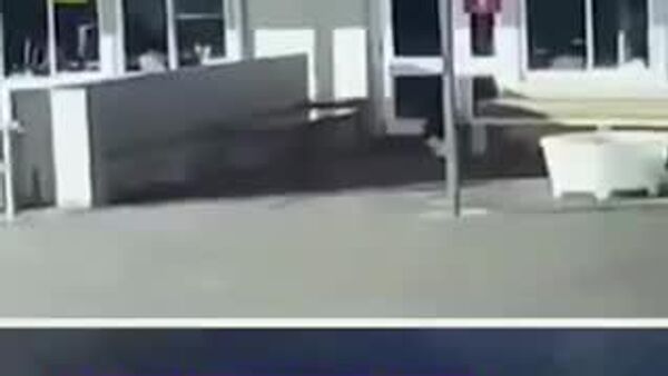 【連続下着泥棒の犯人は猫だった！ 】 - Sputnik 日本