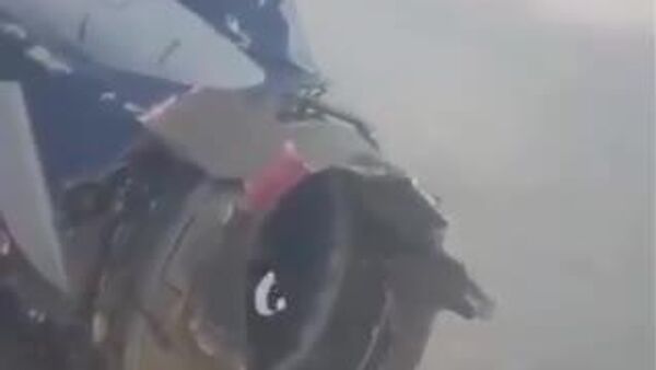 【ボーイング737-700、エンジンが飛行中に大破】 - Sputnik 日本