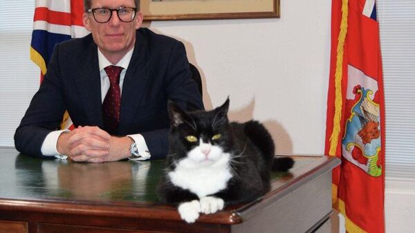 【英外務省の元ネズミ捕り長官「パーマストン」が死去】 - Sputnik 日本