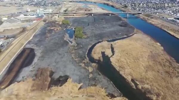 【真っ黒に焼け焦げた河川敷】 - Sputnik 日本