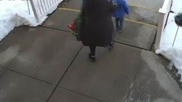 【飲酒運転の車が親子に突っ込む 間一髪で助かる】 - Sputnik 日本