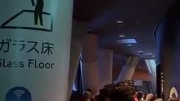 【東京スカイツリーのエレベーターが緊急停止 乗客閉じ込めか】 - Sputnik 日本