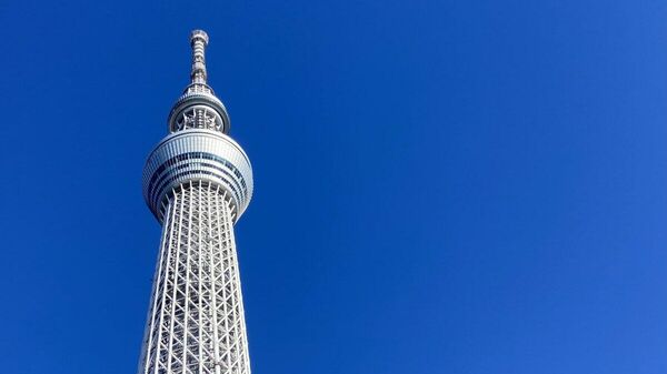 【東京スカイツリー、エレベーター停止の理由が明らかに】 - Sputnik 日本