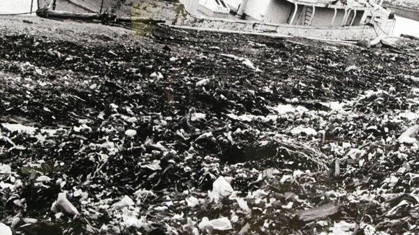 【「死の灰」】（2/3） 放射性降下物はあらかじめ設定された危険区域を大きく超えて広がり、マーシャル諸島の住民や公海上の外国船舶に影響を及ぼした。後に米当局は、汚染規模が過小評価され、警告が不十分であったことを認めた。 - Sputnik 日本