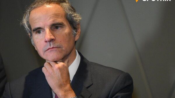 【IAEA事務局長「イランの核開発の証拠ない」】 - Sputnik 日本