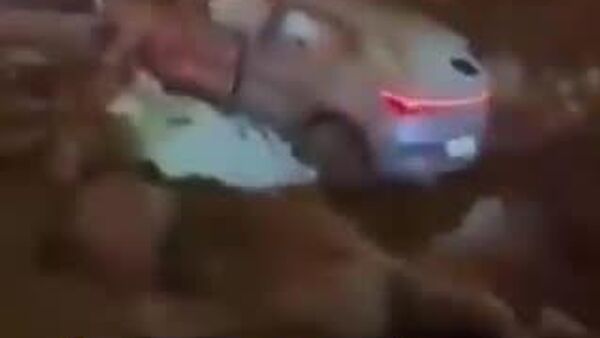 【中国EV、ミサイル攻撃に耐える 乗員全員が生存】 - Sputnik 日本