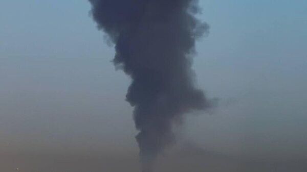 【中東の米軍基地は安全保障に寄与せず、むしろリスクに＝専門家】（1/2） - Sputnik 日本