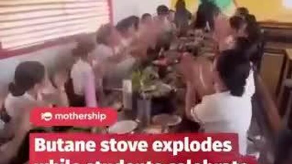 【楽しい誕生日会のはずが…】 - Sputnik 日本