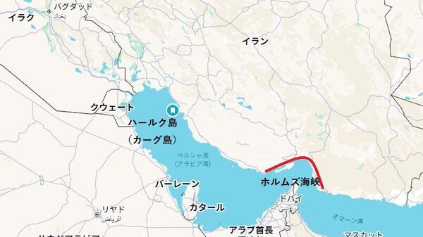 【米国の次の一手 派遣された在日米軍、上陸作戦の可能性も】 - Sputnik 日本