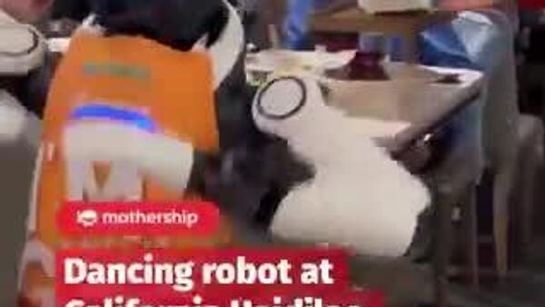 【人間の仕事をやってたら、ロボだって気がおかしくなる】 - Sputnik 日本