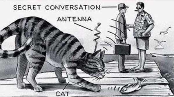 【「言うことを聞かない」スパイ アコースティック・キティ計画の話】 - Sputnik 日本