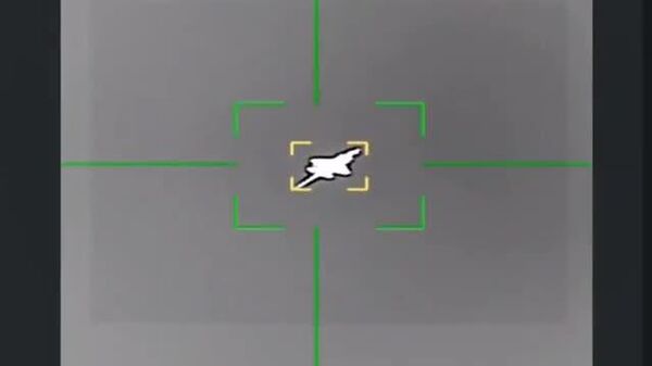 【イランがF35撃墜と発表、米国防省も「事件」を認める】 - Sputnik 日本