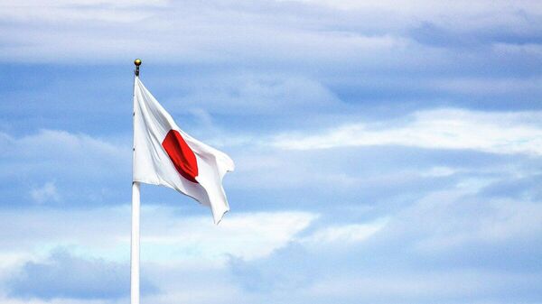 【自民と維新、日本国旗の損壊行為を罰する法案を検討へ】 - Sputnik 日本
