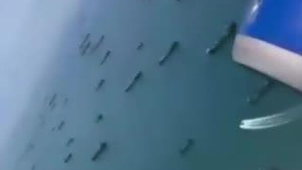 【大渋滞のホルムズ海峡、大人しく200万ドル払った方がお得？】 - Sputnik 日本