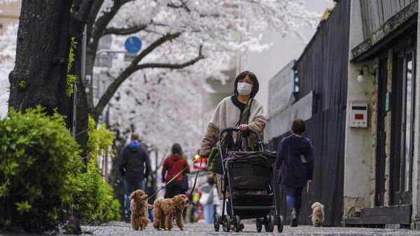 【日本をより安全な国とするためにできること】 - Sputnik 日本
