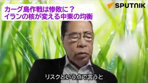 【地上作戦は米軍の威信を傷つける可能性がある＝矢野義昭氏】 - Sputnik 日本