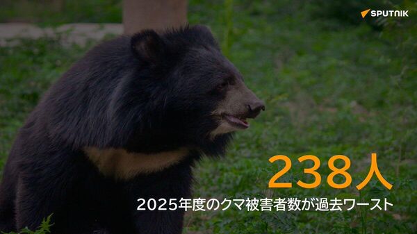 【2025年度の熊害 過去最悪の13人死亡、225人負傷】 - Sputnik 日本