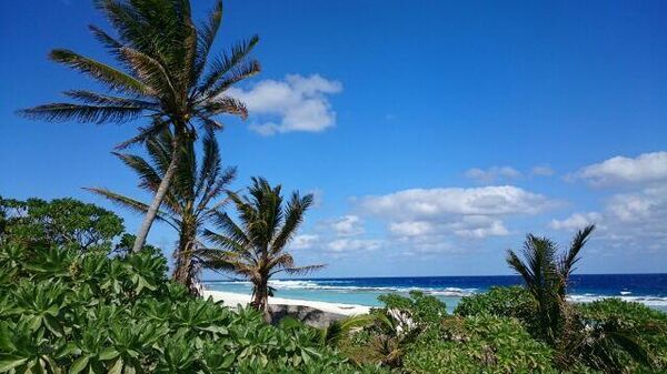 【なぜ、これがそれだけ重要なのか？】 (2/4) - Sputnik 日本