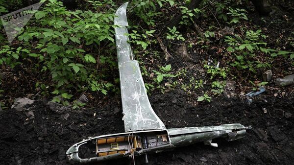 【ドローンをウクライナへ供給 国防支援ではなく、故意に紛争を煽動＝専門家】 - Sputnik 日本