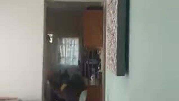 【👩: 出て行け、泥棒！ 🐵:リンゴももらっていこう】 - Sputnik 日本