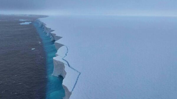 【世界最大級の氷山崩壊――それは不吉な兆候、それとも大いなる恵み？】 - Sputnik 日本