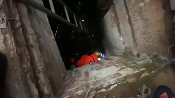 【墓地の納骨室から「鳴き声」 地下2メートルで猫救出】 - Sputnik 日本