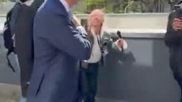 【米国に介入呼びかけた亡命中の元イラン皇太子、トマトジュースをかけられる】 - Sputnik 日本