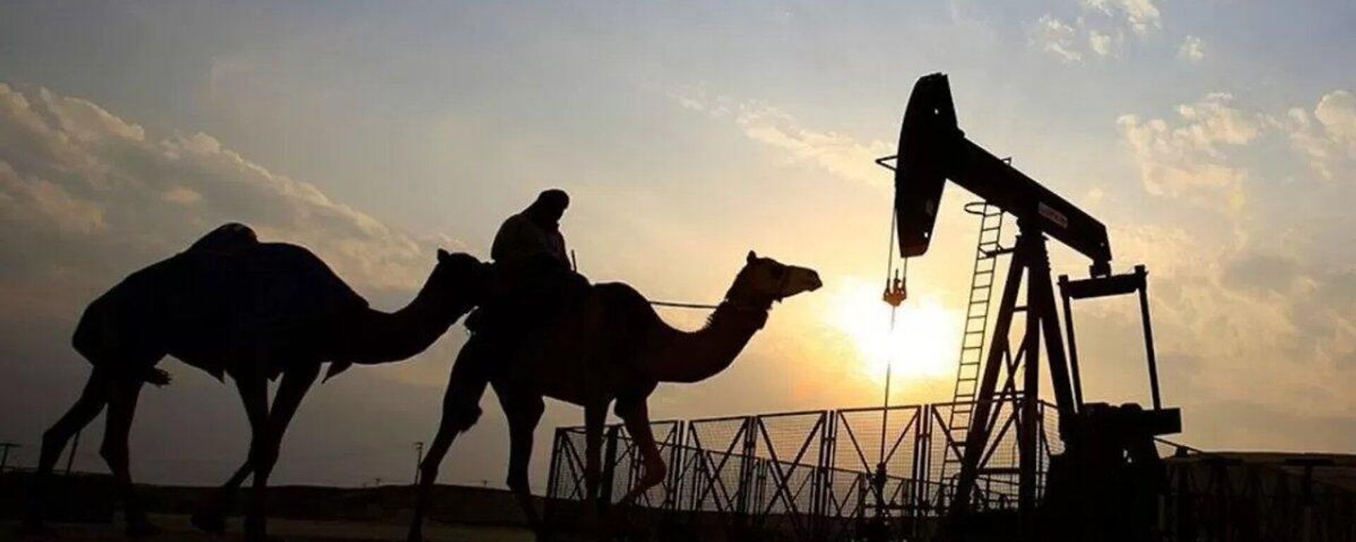 【サウジと意見対立、イランの攻撃、海峡封鎖 UAEのOPEC脱退の最たる理由は？】 - Sputnik 日本, 1920, 29.04.2026
