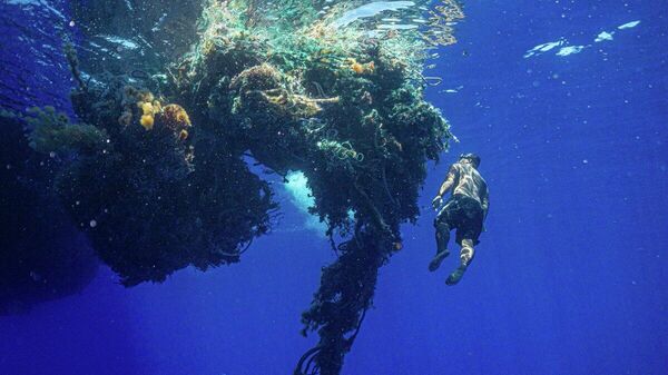 【海洋生物の「愛の新居」は波間を漂うプラごみ】（2/4） - Sputnik 日本
