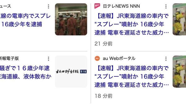 【JR東海道線の車内でスプレー噴射か 16歳少年逮捕】 - Sputnik 日本